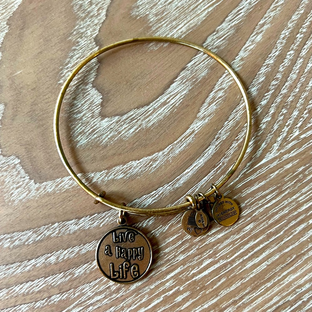 Alex and Ani 2014 Live a Happy Life Bracelet